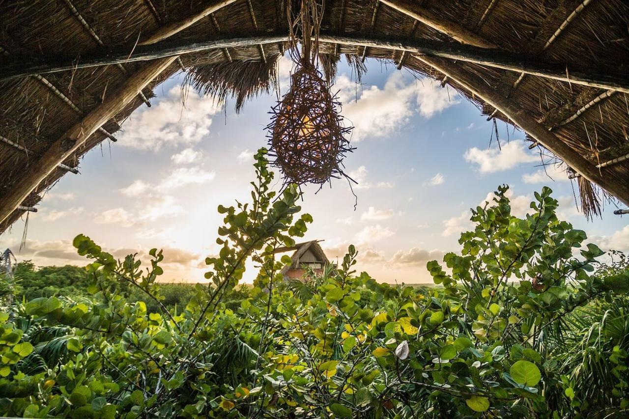 Hidden Treehouse Tulum Eco-Hotel Eksteriør bilde